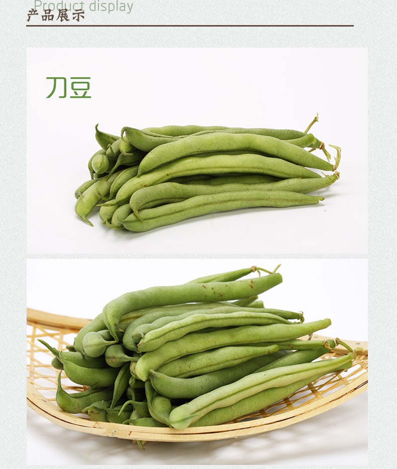 豆类 四季豆 豆类 蔬菜名称 挟剑豆,野刀板藤,葛豆,刀豆角,刀板豆