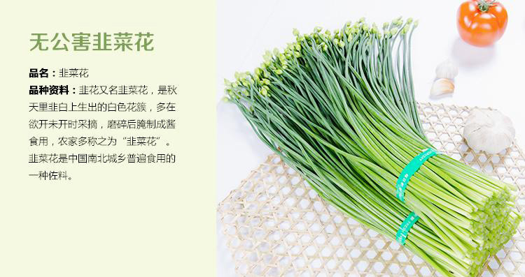 韭菜花