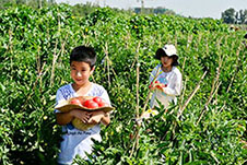 绿品源蔬菜配送基地